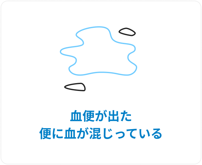 血便が出た便に血が混じっている