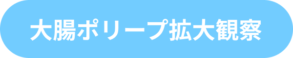 大腸ポリープ拡大観察