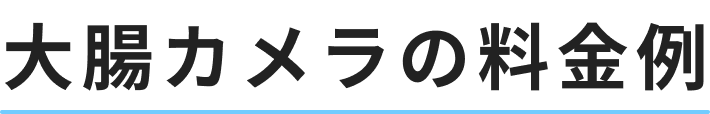 大腸カメラの料金例